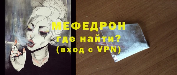 индика Вяземский