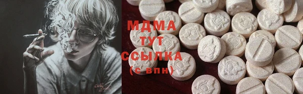 индика Вяземский