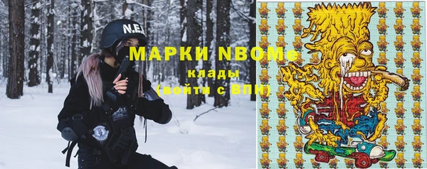 индика Вяземский