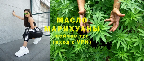 индика Вяземский