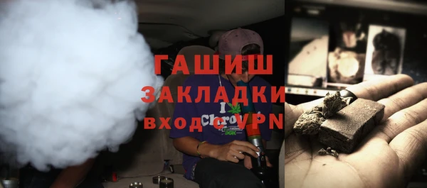 индика Вяземский