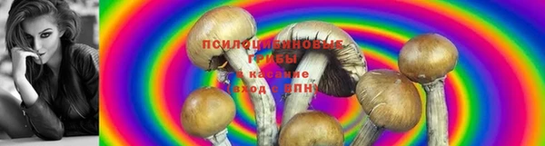 Альфа ПВП Вязьма