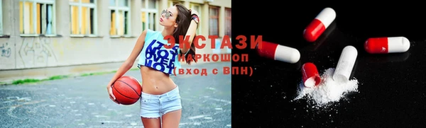 индика Вяземский