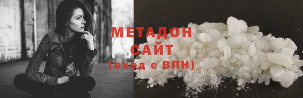 индика Вяземский