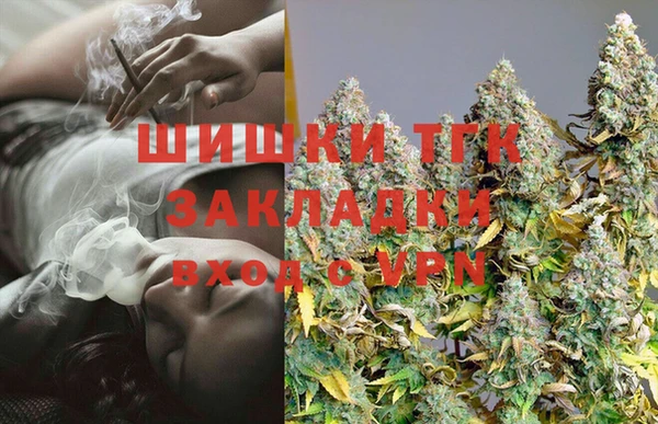 индика Вяземский