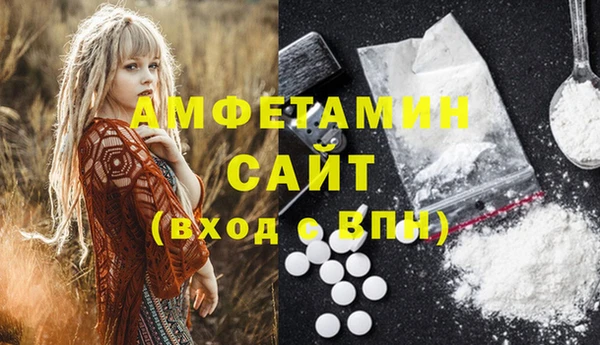 индика Вяземский
