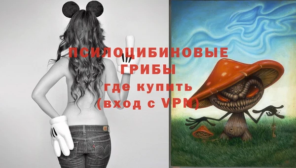 герыч Тобольск