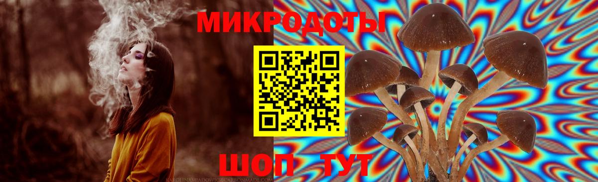 Галлюциногенные грибы Psilocybe Снежинск