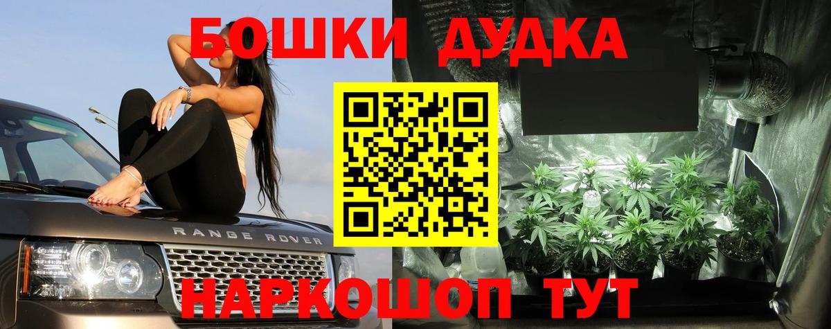 Конопля конопля  Вход с VPN  Бошки марихуана SATIVA & INDICA  Снежинск  Бошки Шишки Bruce Banner  Марихуана Ganja 
